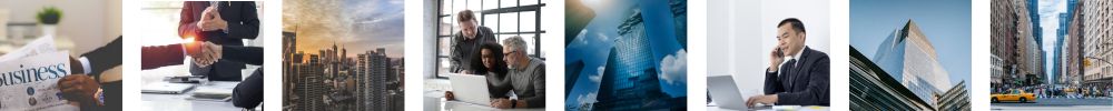 MVNO Index - Business MVNO (h) MVNO Index - Business MVNO (h)