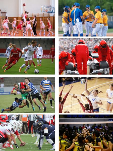 MVNO Index - Sport MVNO MVNO Index - Sport MVNO