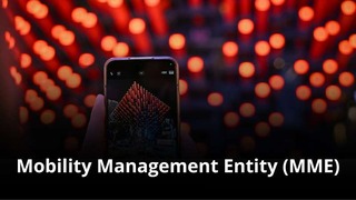 MVNO Index - Mobility Management Entity (MME) small MVNO Index - Mobility Management Entity (MME)