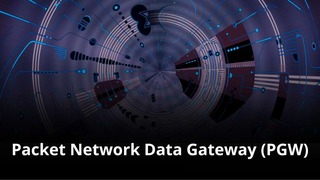 MVNO Index - Packet Network Data Gateway (PGW) small MVNO Index - Packet Network Data Gateway (PGW)