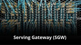 MVNO Index - Serving Gateway (SGW) small MVNO Index - Serving Gateway (SGW)