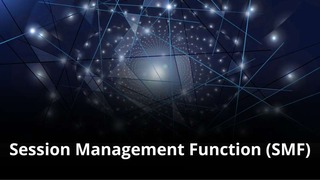 MVNO Index - Session Management Function (SMF) small MVNO Index - Session Management Function (SMF)
