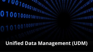 MVNO Index - Unified Data Management (UDM) small MVNO Index - Unified Data Management (UDM)