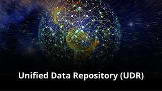 MVNO Index - Unified Data Repository (UDR) small MVNO Index - Unified Data Repository (UDR)