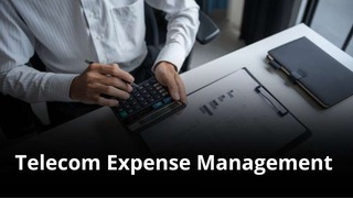 MVNO Index - Telecom Expense Management (small) MVNO Index - Telecom Expense Management (TEM)