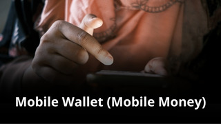 MVNO Index - Mobile Money (small)