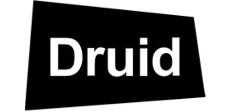 Druid Software
